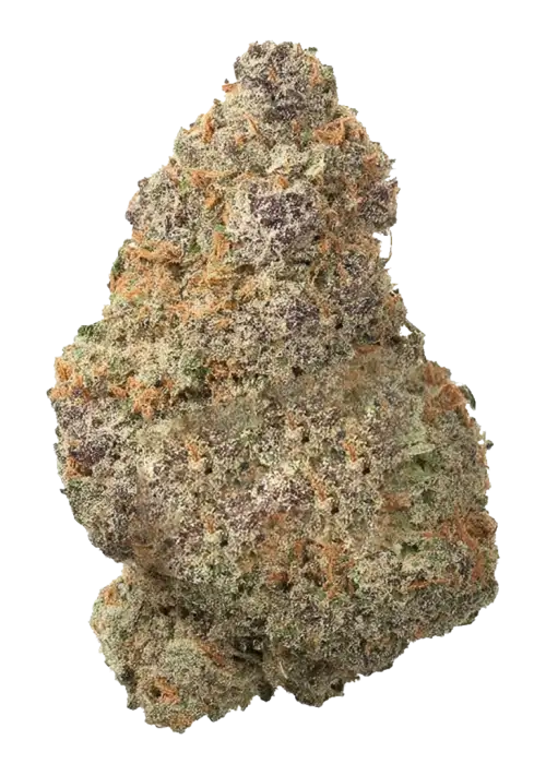 Jamaican