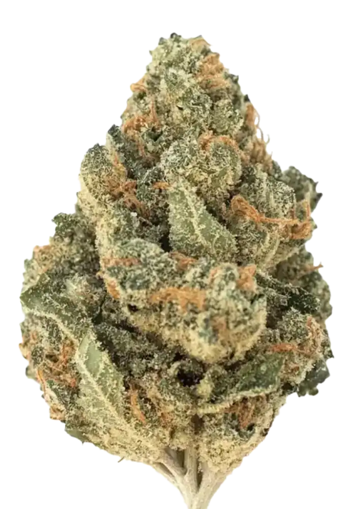 Watermelon Zkittlez Cannabis Strain Products - GrowDiaries