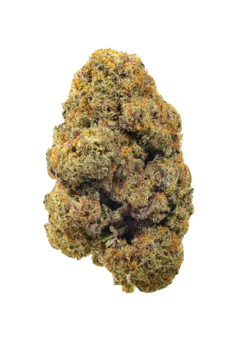Sour Banana Sherbet
