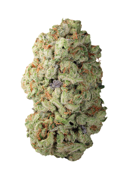 Banana Hammock