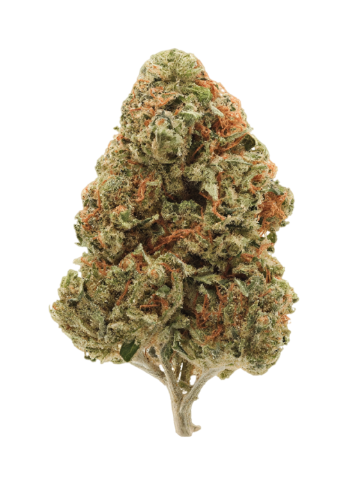 Phantom OG