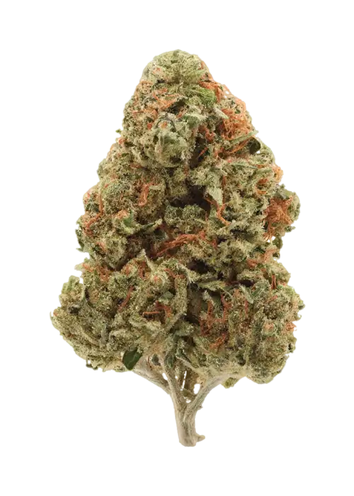 Phantom OG