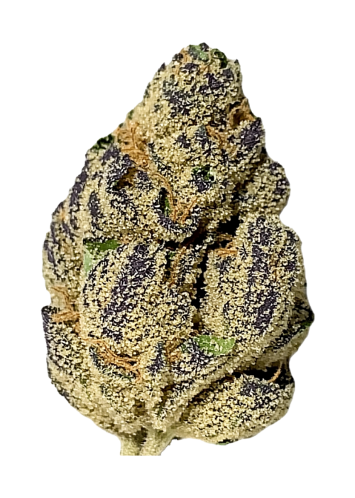 Outer Space