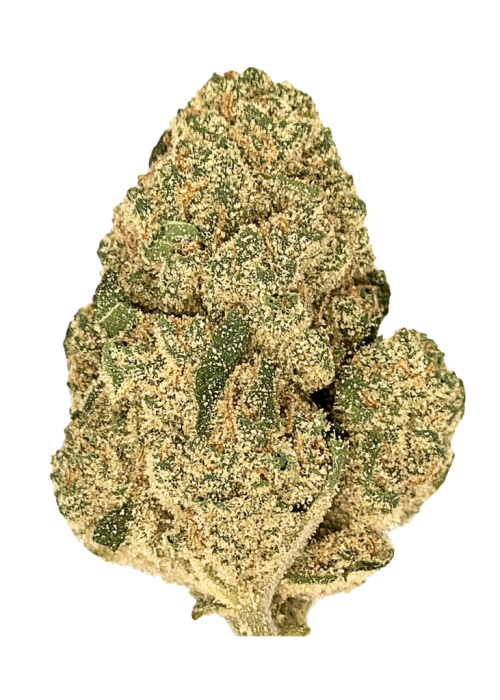 Malawi Gold