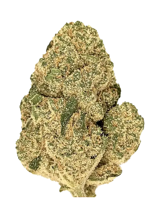 Malawi Gold