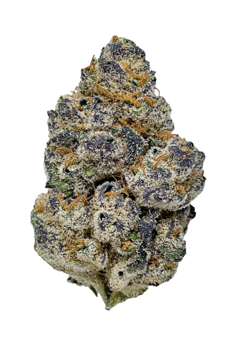 Blue Cookies