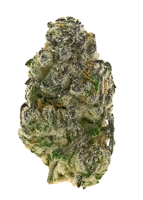 Durban Cookies