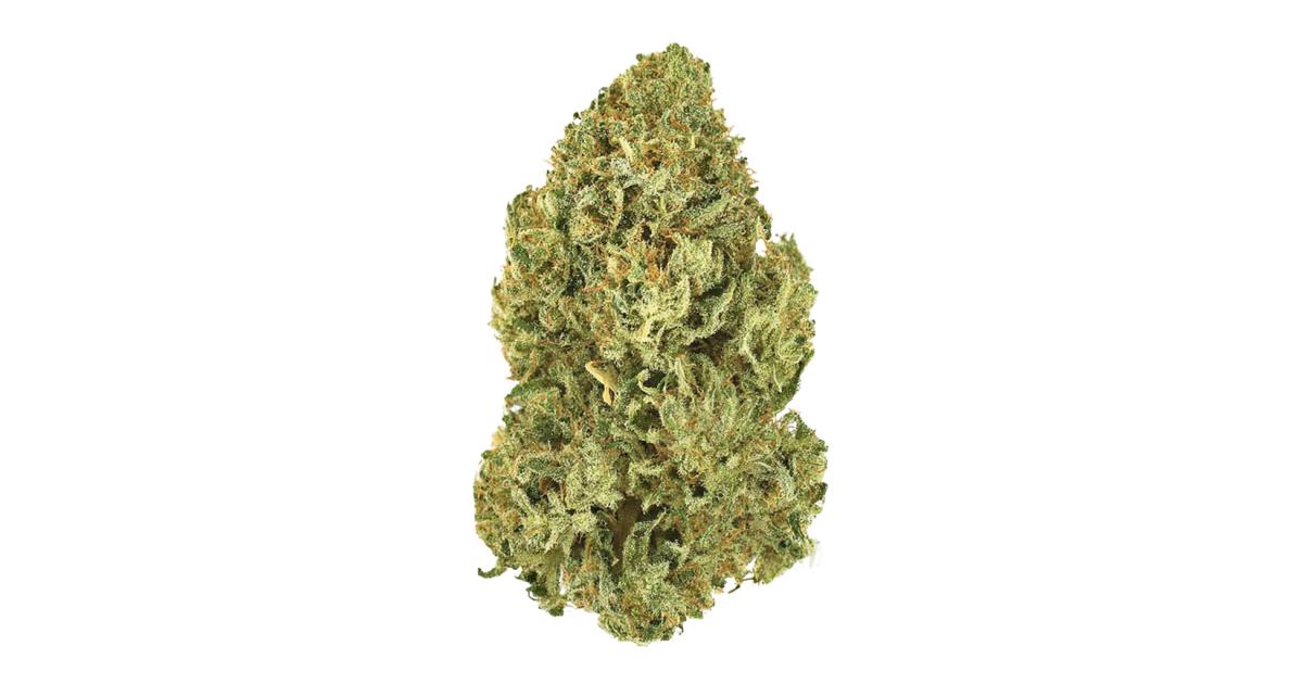 Wedding Cheesecake Cannabis Strain Information - GrowDiaries