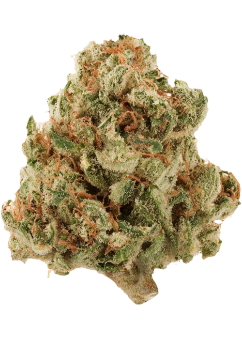 Galactic Jack