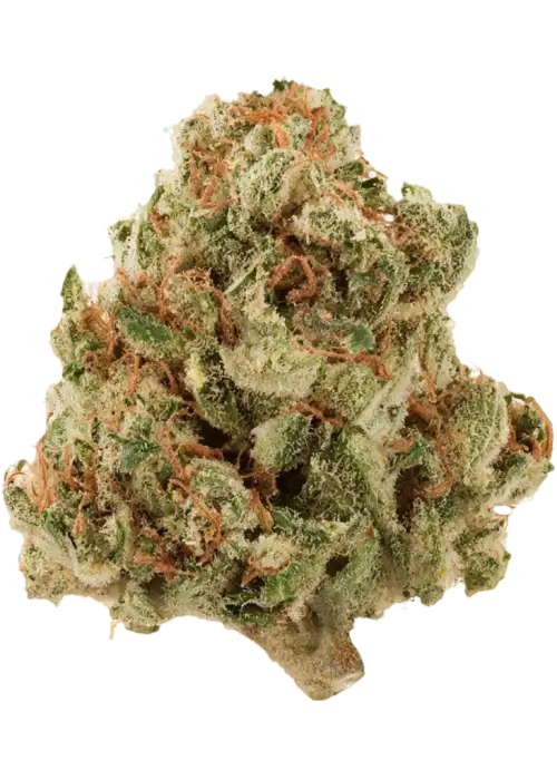 Galactic Jack