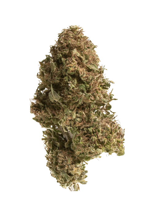 Blue Hawaiian