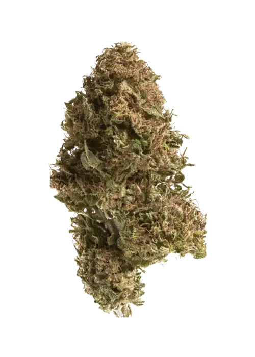 Blue Hawaiian