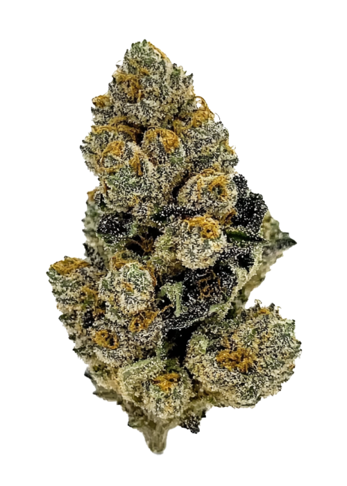 Gas Runtz Cannabis Strain Information - GrowDiaries