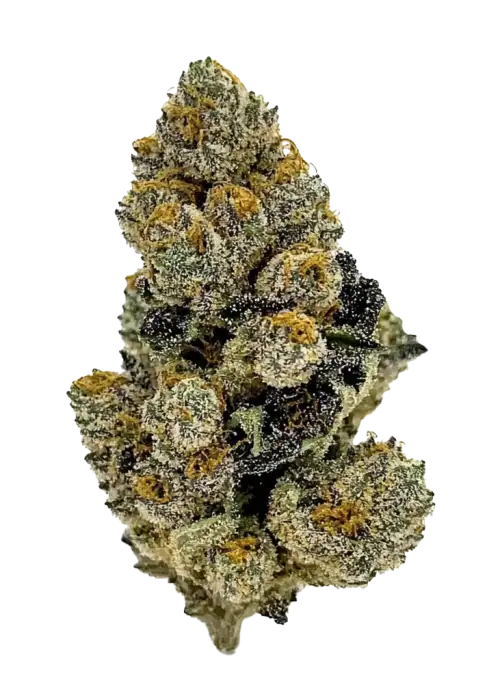 Gas Runtz