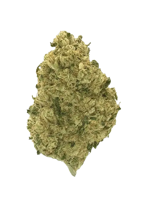 Zour Apples