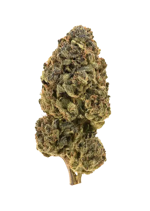 Tropsanto