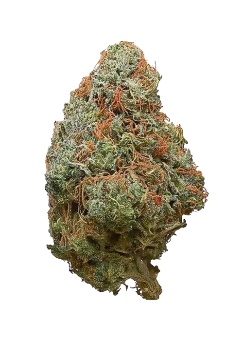 Sour Mango