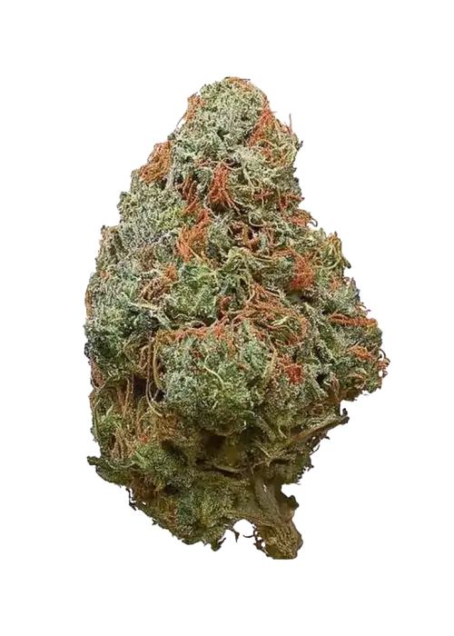 Sour Mango