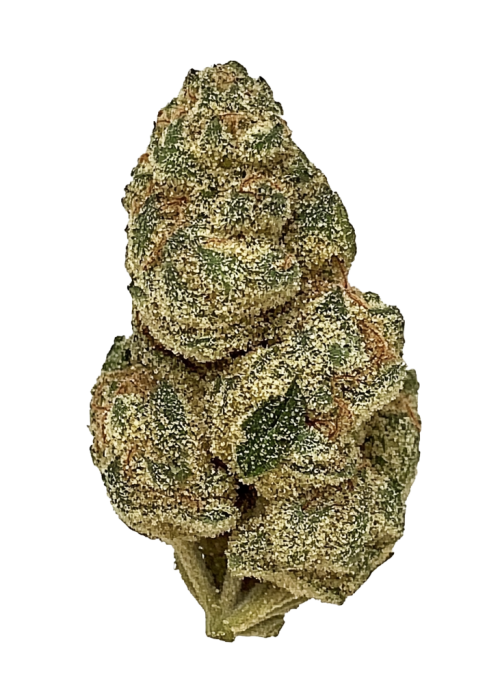 Permafrost
