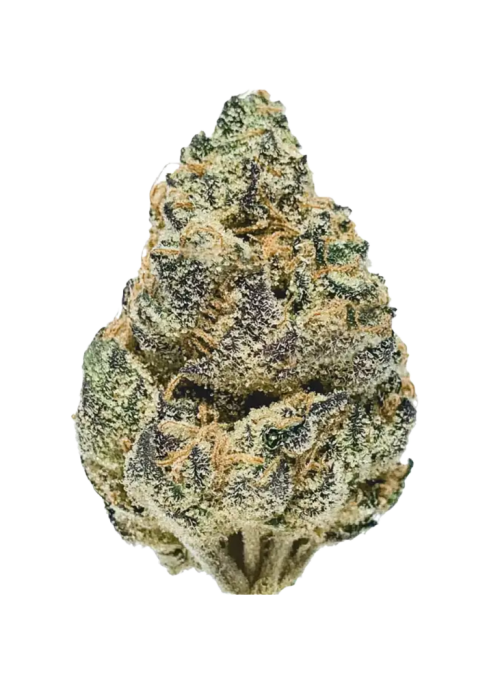 Lemon Venom