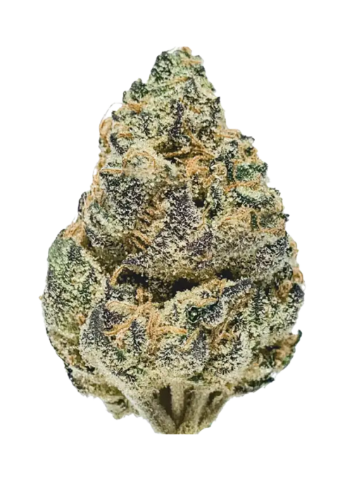 Lemon Venom