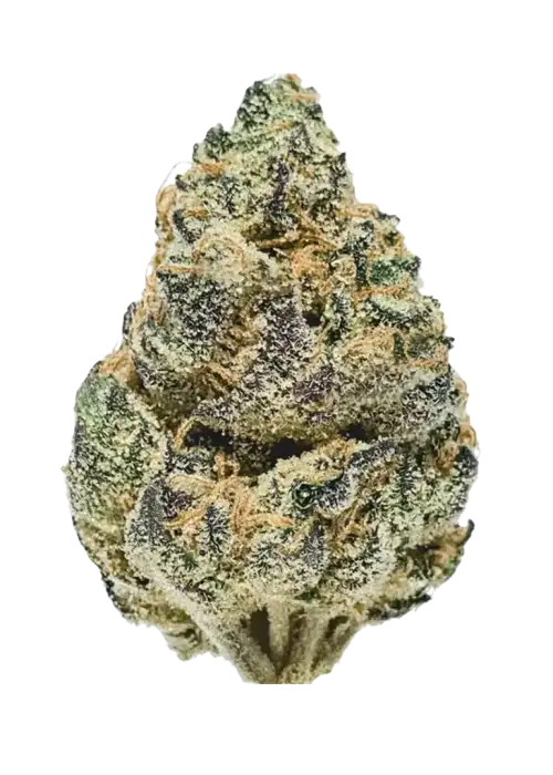 Lemon Venom