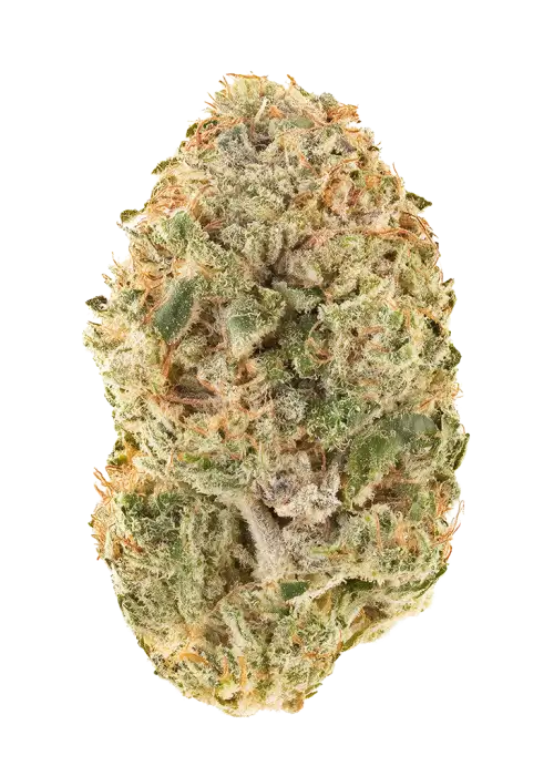 Super Lemon OG