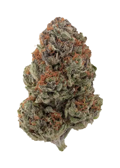 Ooh La La