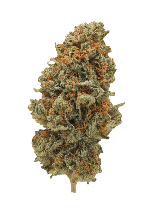 Grapefruit Haze