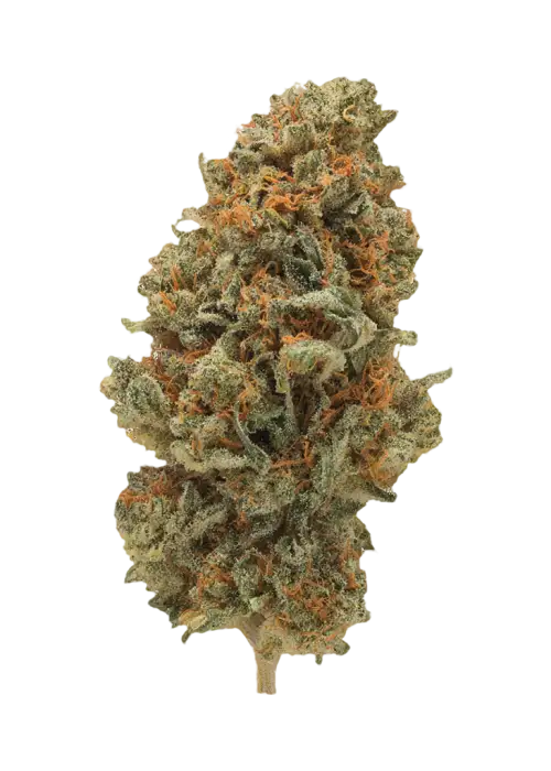 Grapefruit Haze