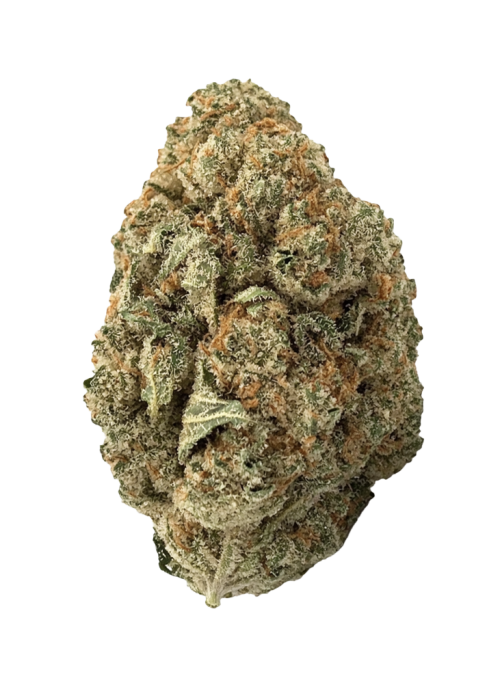 Silver Haze