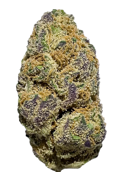 Purple Gorilla