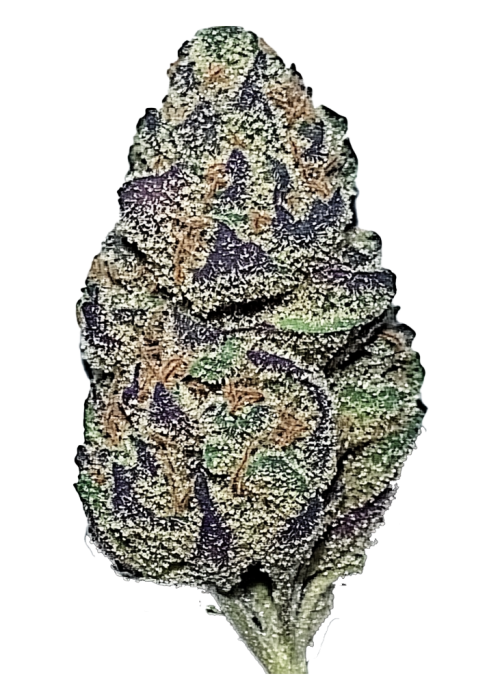 Cactus Jack