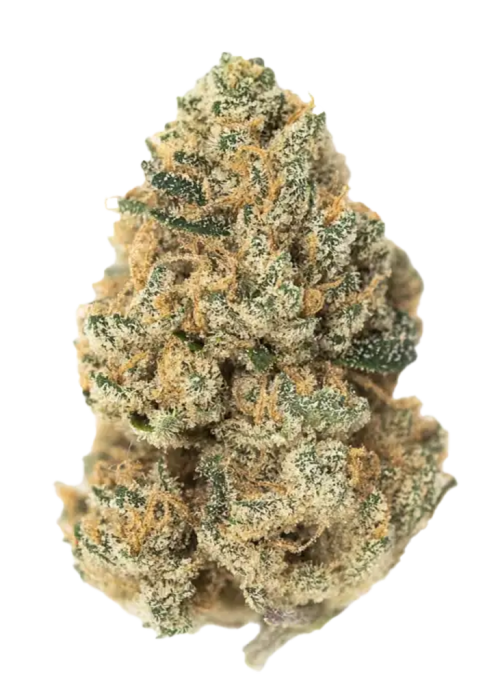 Lava Cake
