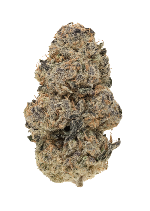 Nutter Butter