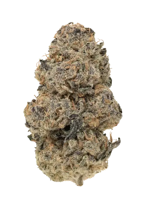 Nutter Butter