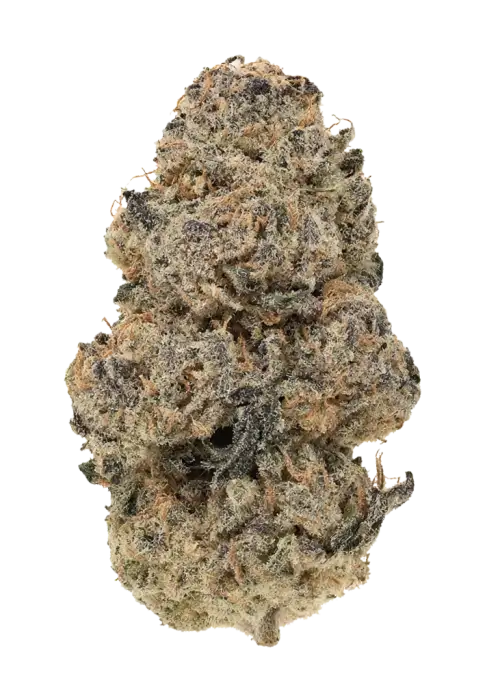 Nutter Butter
