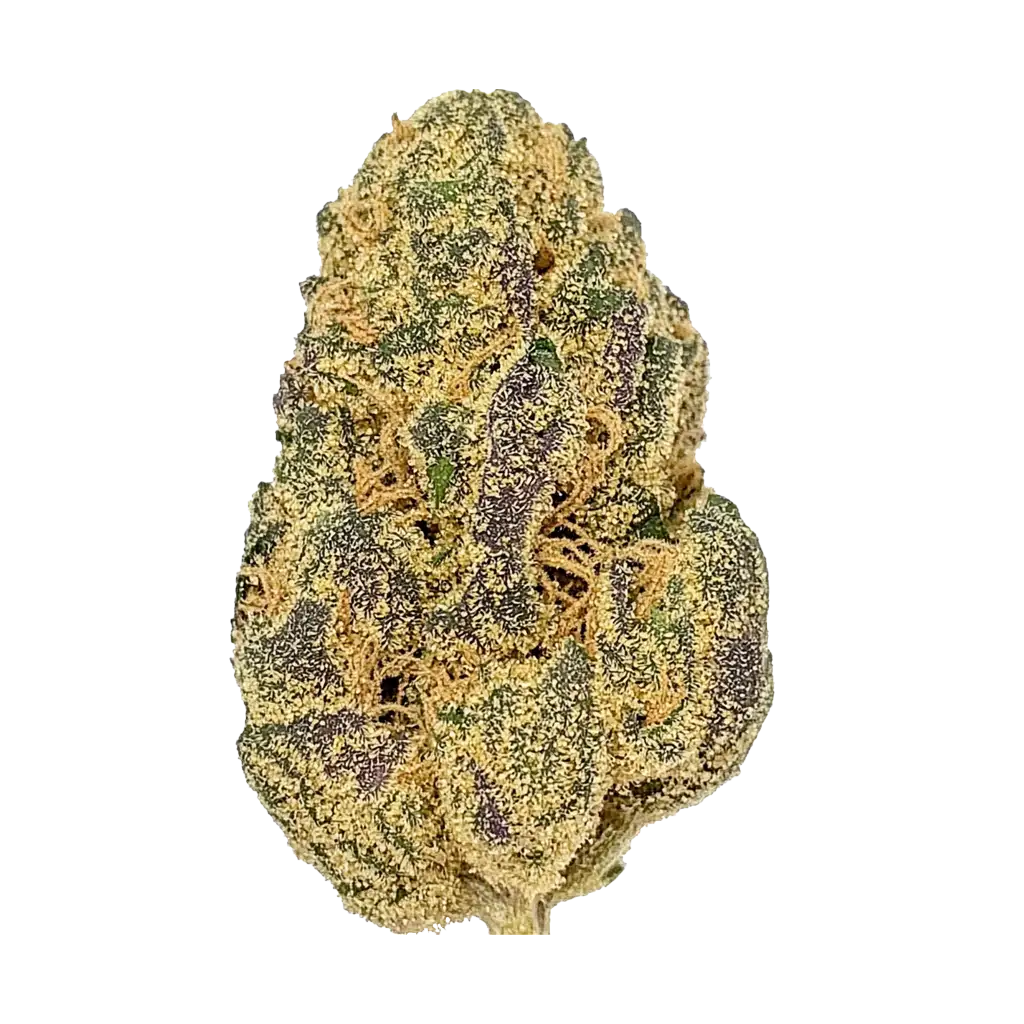 Sugar Plum Cannabis Strain Information - GrowDiaries
