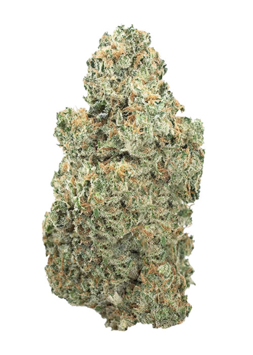 Lemongrass