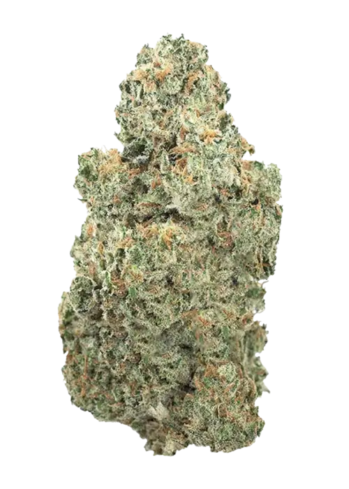 Lemongrass