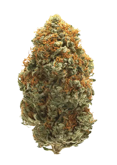Orange Cake