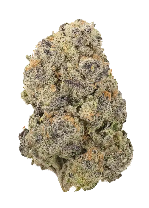 Frosted Runtz