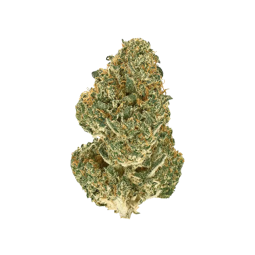 Grapefruit Durban Cannabis Strain Information - GrowDiaries