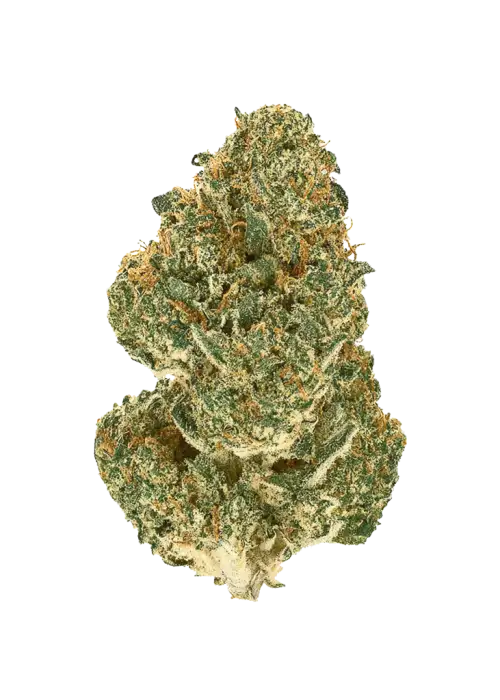 Grapefruit Durban