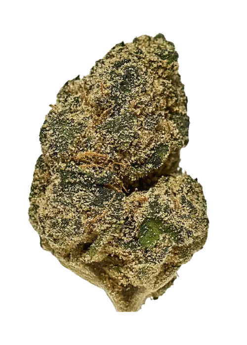 Boo Berry