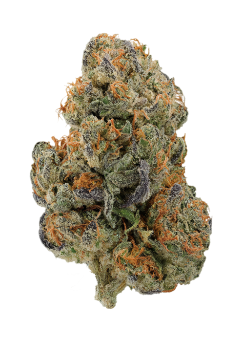 GMO Z