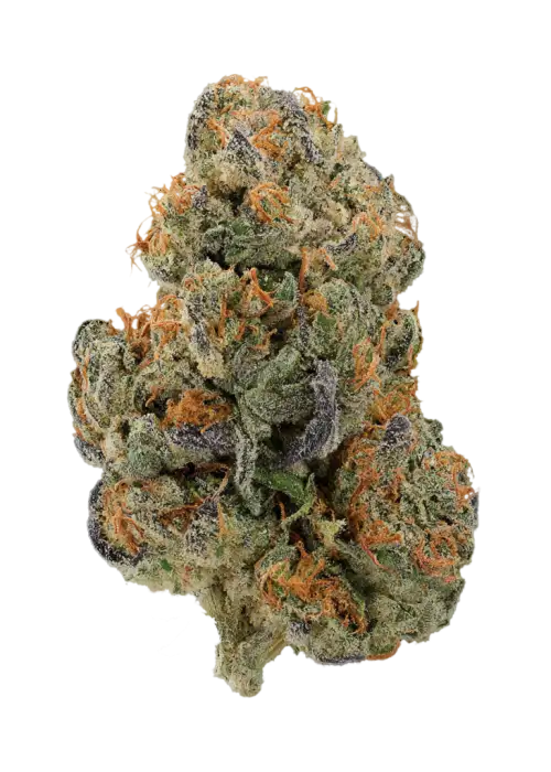 GMO Z