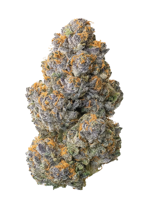 Jedi Kush