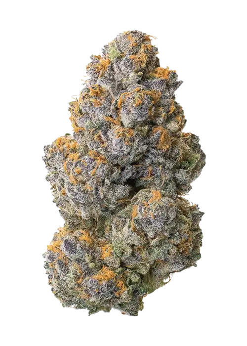 Jedi Kush