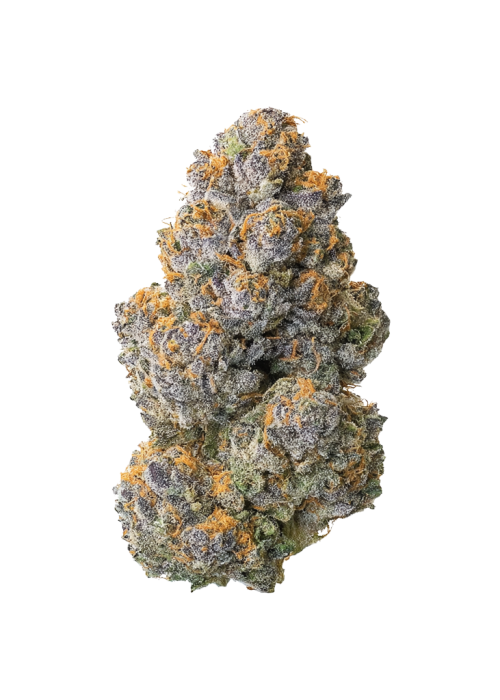 Jedi Kush